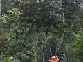 Tn DSC 4066